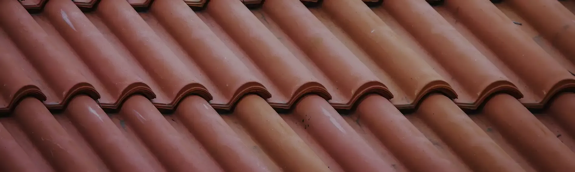 Reparación de tejados