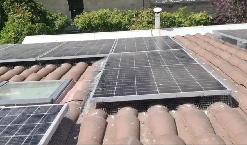 Instalación de sistemas antiaves