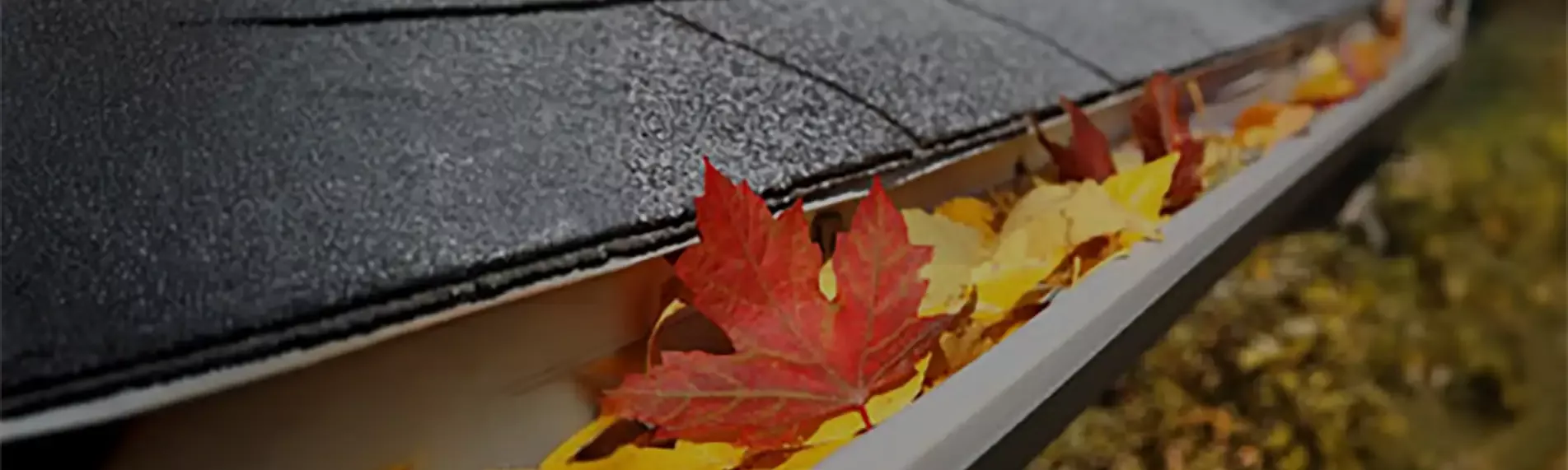 Limpieza y mantenimiento de canalones